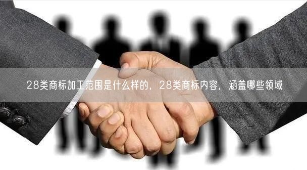 28类商标加工范围是什么样的，28类商标内容，涵盖哪些领域