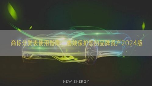 商标分类表使用指南：高效保护您的品牌资产2024版